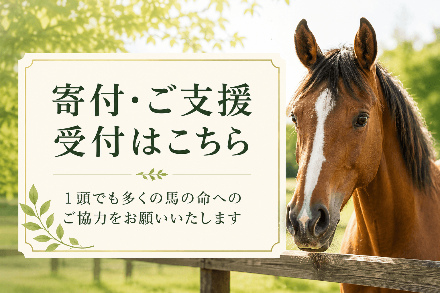 単発寄付をする